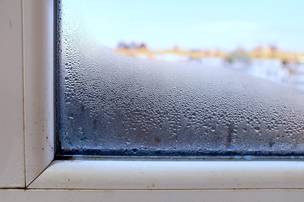 Window repairs